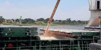 India desplazó a China y es el principal destino de las exportaciones de Santa Fe