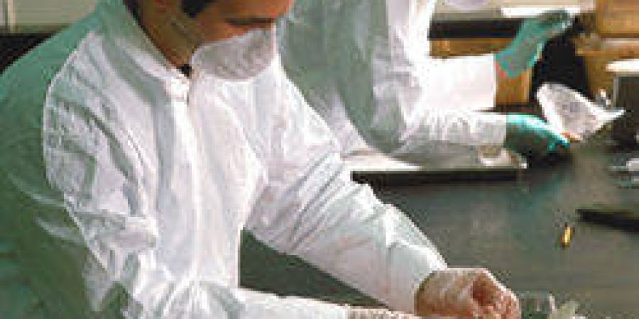 Nuevo curso de Manipulador de Alimentos