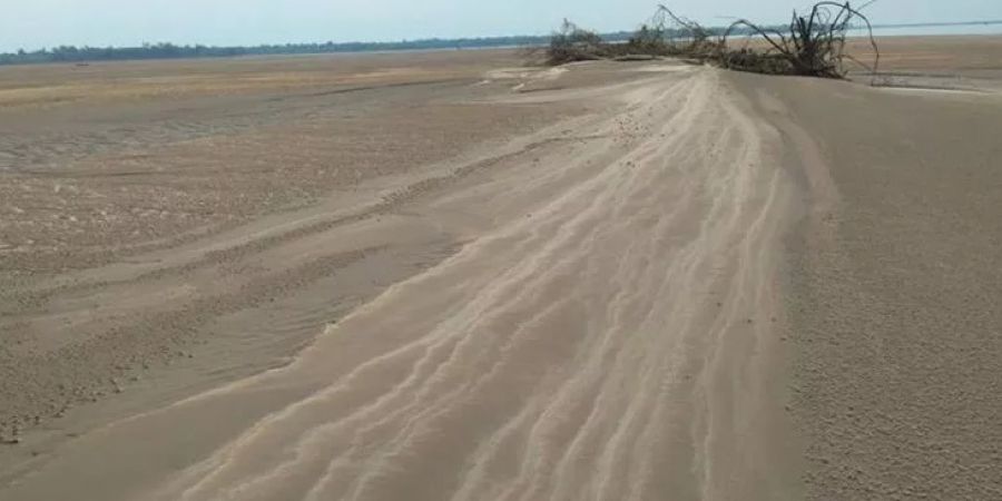 Sigue la bajante del río y preocupa a los organizadores del Concurso del Surubí