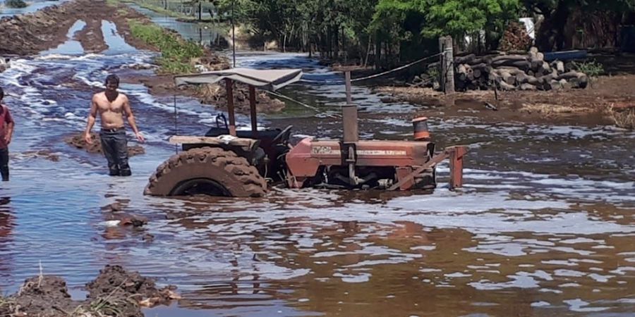 Emergencia agropecuaria para Santa Fe y otras 3 provincias