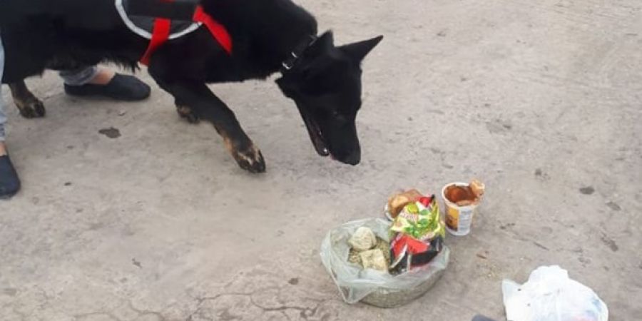 En Vera detienen a un hombre que transportaba droga