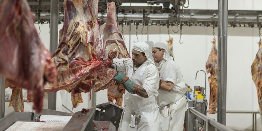 FRIAR será el quinto frigorífico exportador del país en la campaña 2019/2020