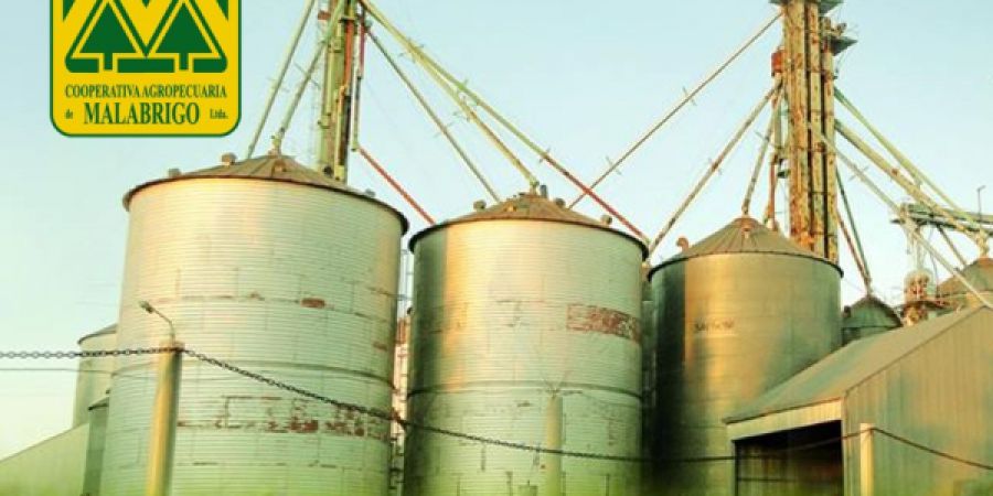 Reuniones explicativas del balance