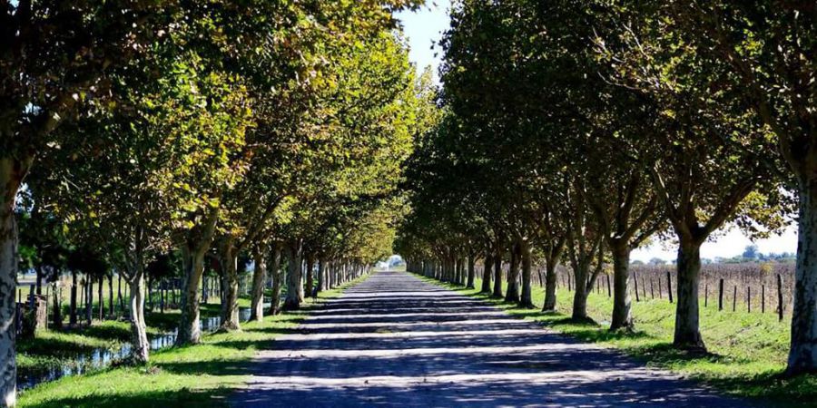 Robaron y dañaron tumbas en el cementerio local
