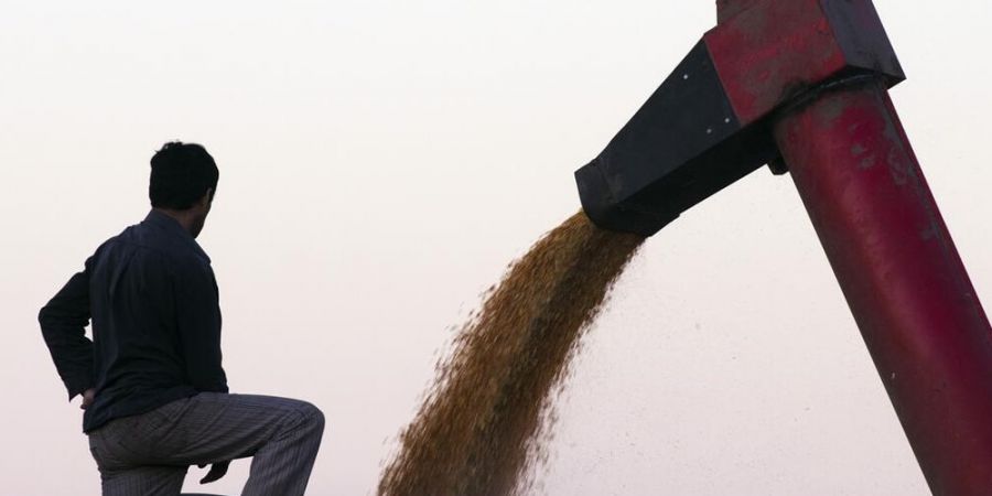 Santa Fe: el centro y norte terminan la trilla de soja y maíz temprano, y avanzan con los tardíos