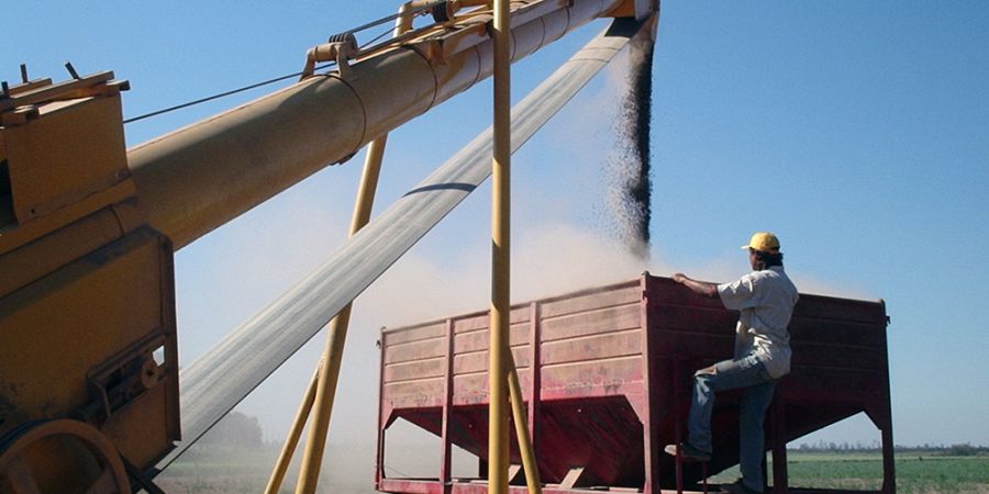 En el primer semestre, el agro marcó un récord absoluto con el ingreso de dólares por exportaciones