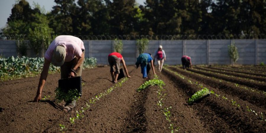 Abren las inscripciones para Módulos Productivos de la Agricultura Familiar
