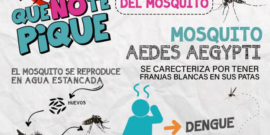 Campaña de prevención del Dengue
