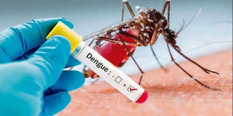 Dengue: comienza la segunda etapa de vacunación del personal esencial y apuntan a mejorar la inoculación entre lo mas jóvenes