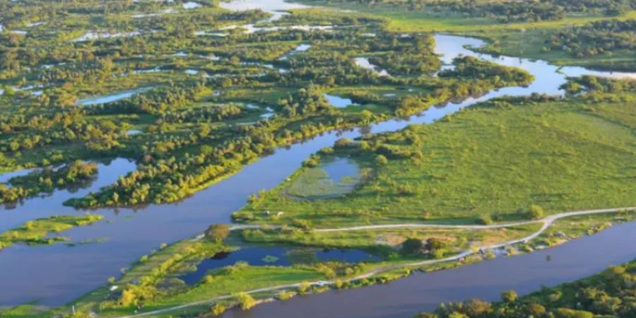Piden informes sobre producciones económicas en el Jaaukanigás