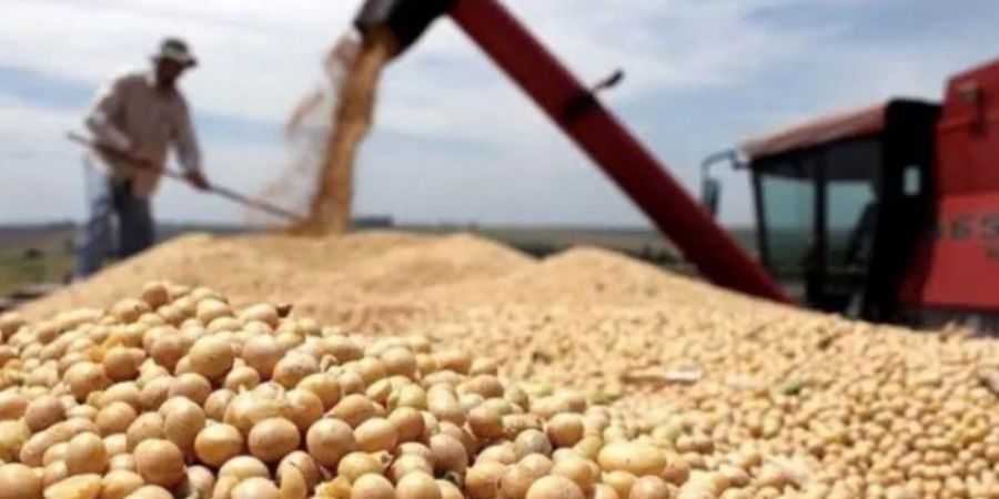 La molienda de soja será este año la más baja desde el 2005