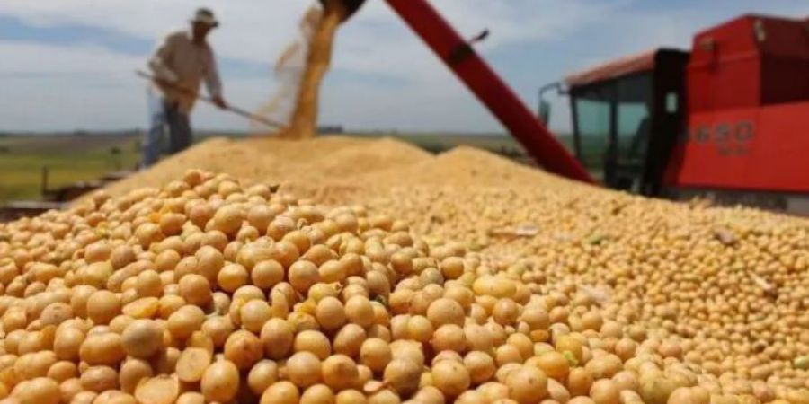 La siembra de soja marcó un nuevo récord y en una semana se sembraron 1,15 millones de hectáreas