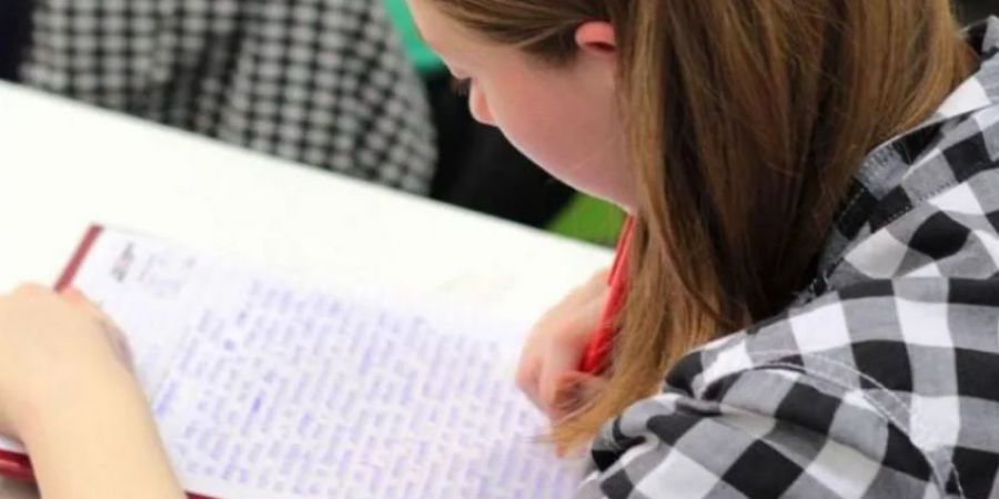 ANSES: quiénes cobran la Ayuda Escolar Anual y a partir de cuándo