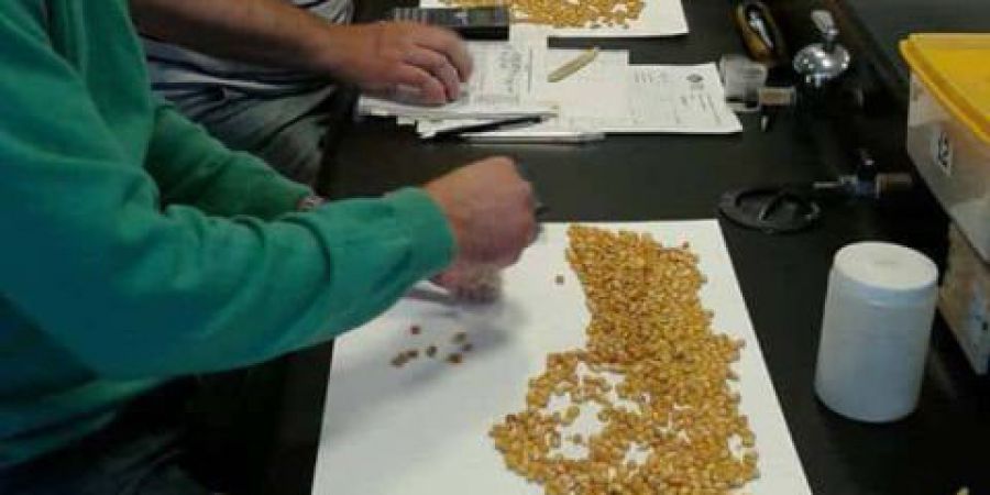 Comienza el Curso de Perito Clasificador de Cereales, Oleaginosos y Legumbres en Malabrigo