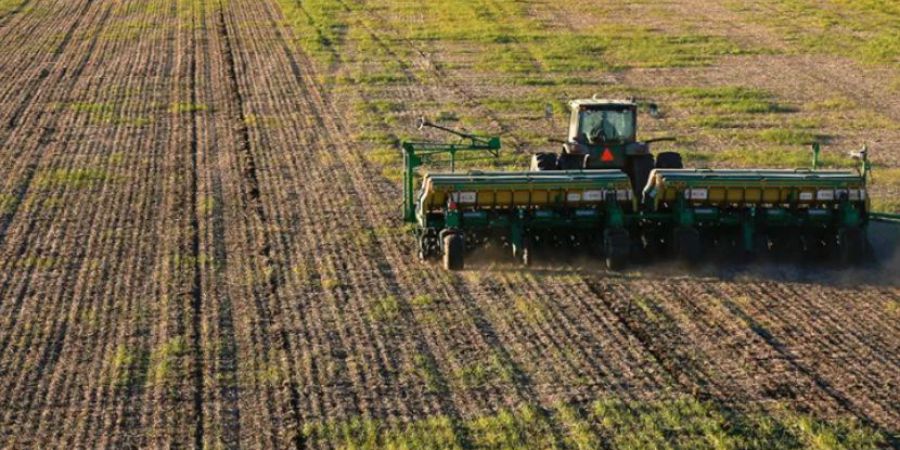 Por la ola de calor se prevé una caída en las cosechas de trigo y soja