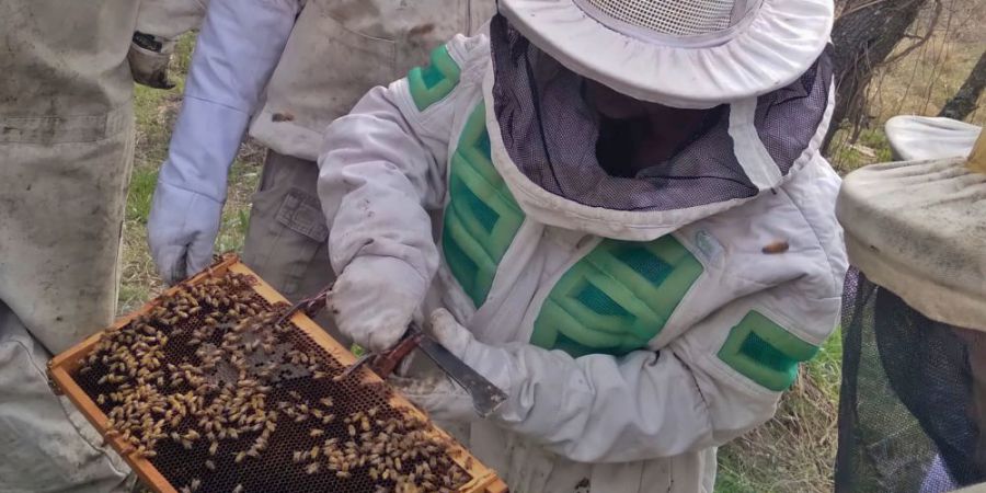 Se dicta en Malabrigo el curso de «Operario Apícola»