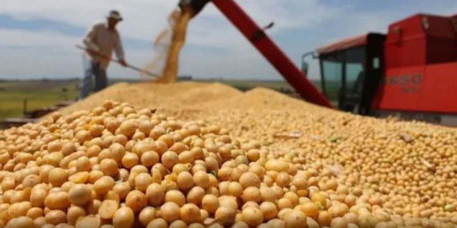 Baja temporal en las retenciones al campo: cómo quedarán las alícuotas tras el anuncio del Gobierno