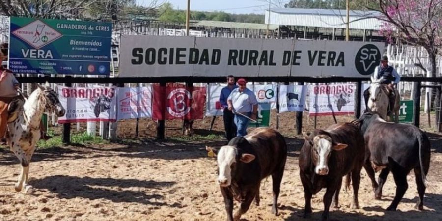 Vera presentó una nueva edición de la Expo Rural